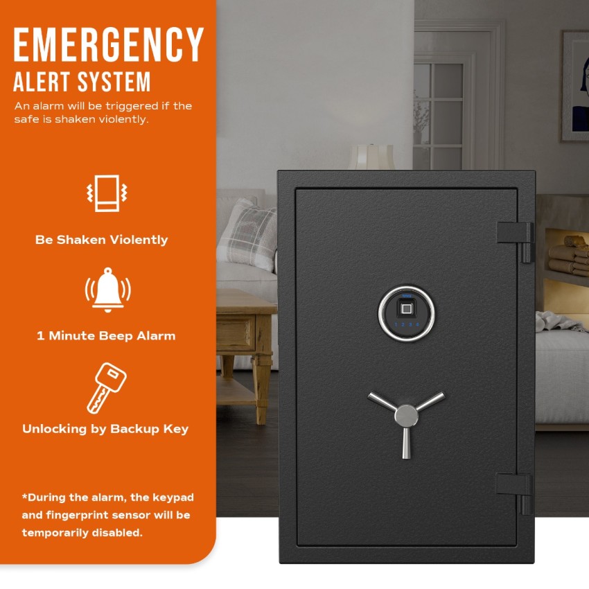 Large Fireproof Safe with Fingerprint Sensor, Biometric Home Safe, 2.12 Cubic Feet, RPNB RPFS66